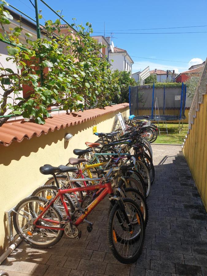 Alpa Apartment *